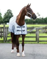 Vliegendeken_Stable_buddy_Dashhund_4