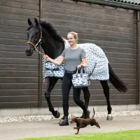 Vliegendeken_Stable_buddy_Dashhund_7