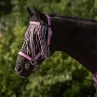 Vliegenfrontriem_collection_Cheery_pink_1