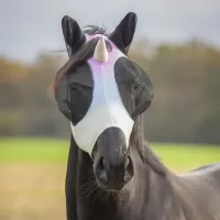 Vliegenmasker_Unicorn_1