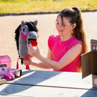 Voerset_Hobby_horse_2