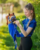Voerset_Hobby_horse_3