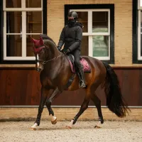 Zadeldek_Zahra_Dressuur_3