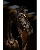 _HB_Showtime_Copper_Sky