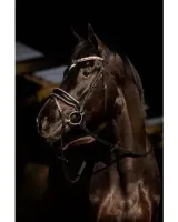 _HB_Showtime_Copper_Sky_1