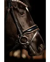 _HB_Showtime_Copper_Sky_2