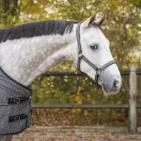 halsterset_turnout_collection_grey_reflective_1