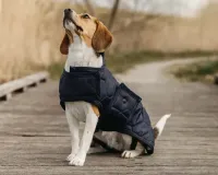 hondendeken_Classy_navy_2