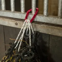 karbijnhaak_fuchsia_1