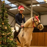 kerstmuts_paard_1
