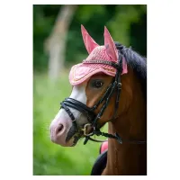 oornetje_BR_mini_horse_peach_blossom_1