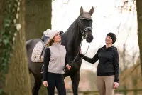 oornetje_Cavaljetty_biscuit_1