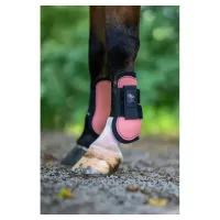 peesbeschermers_BR_mini_horse_peach_blossom_1