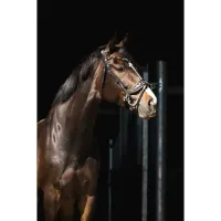 showtime_hoofdstel_leopard_1