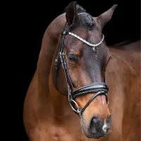 snaffle_bridle_Irholympia_black_silver