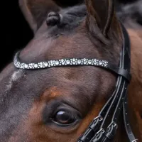 snaffle_bridle_Irholympia_black_silver_1