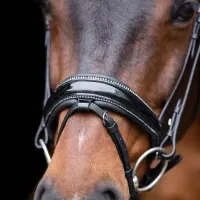 snaffle_bridle_Irholympia_black_silver_2