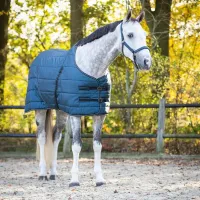 staldeken_start_collection_200_gram_mystic_blue