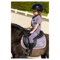 zadeldek_BR_mini_horse_Cadet_3