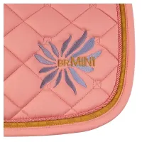 zadeldek_BR_mini_horse_Peach_blossom_1