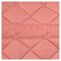 zadeldek_BR_mini_horse_Peach_blossom_2