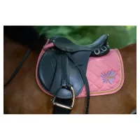 zadeldek_BR_mini_horse_Peach_blossom_3