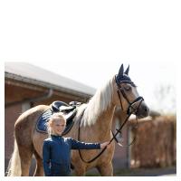 zadeldek_BR_mini_horse_midnight_navy_3