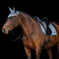 zadeldek_IRHLenny_Moonstone_2