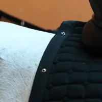 zadeldek_IRHMultiride_