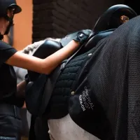 zadeldek_IRHMultiride__1