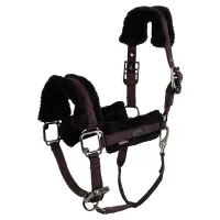 BR_Eevolv_halster_Jonne_raisin_brown