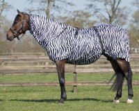 Eczeemdeken_zebra