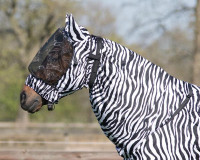 Eczeemkap_zebra