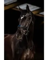 HB_Showtime_Dark_Eagle