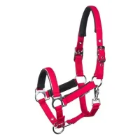 Halster_mini_veulen_Barberry