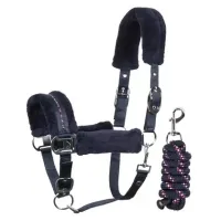 Halsterset_Denici_Cavalli_Purple_Passion_Crystal