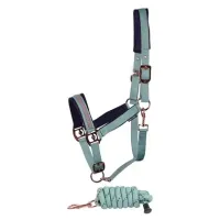 Halsterset_Samara_Canton