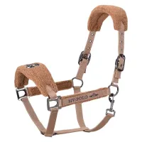 Headcollar_HVPPolo_teddy