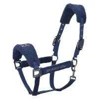 Headcollar_HVPPolo_teddy_2