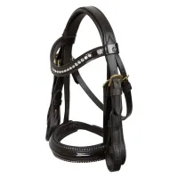 Hobby_Horse_weymouth_bridle_IRHGrand_prix_bruin