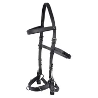 Kaptoom_hoofdstel_leder