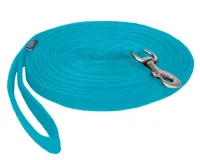 Longeerlijn_in_tas_bright_sky