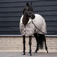 Showdeken_IRHBandit