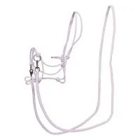 Touwhalster_IRHFree_Ride_Wisteria