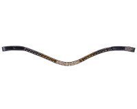 frontriem_Gradientcollection_Crocodile