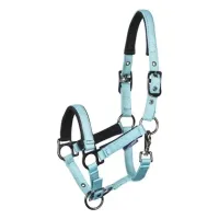 halster_mini_veulen_Metal_pastel_turquoise