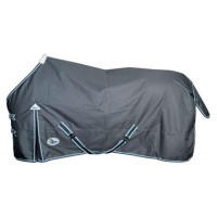 regendeken_Thor_0_gr_Ebony