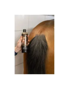 BR_Derma_Shampoo_500ml