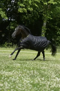Bucas_Irish_Turnout_Light_50__Black_gold