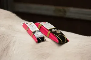 Excellent_Horse_Grooming_Brush_Large_zwart_Maat_M